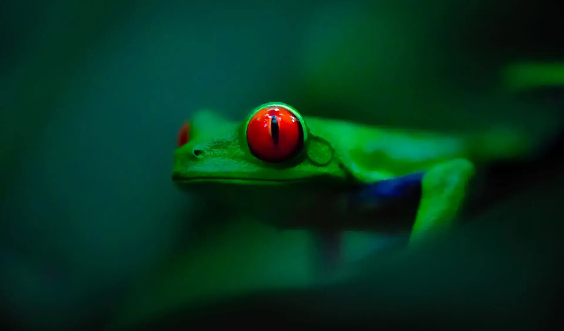 Costa Rica photography workshop concluded